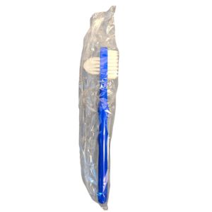 CAREWAY ORAL BROSSE PROTHESE BLEU