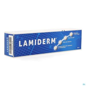 Lamiderm Creme Brulures 1°+2° Tube 60ml