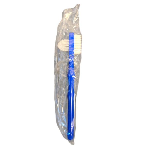 CAREWAY ORAL BROSSE PROTHESE BLEU